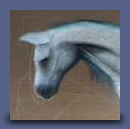 Cavallo