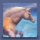 Cavallo in mare